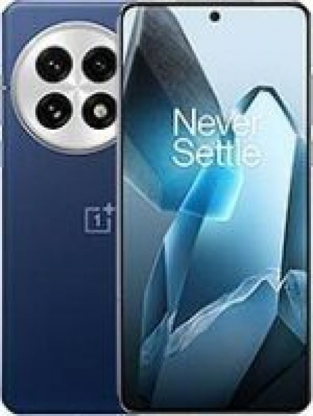 OnePlus 13 (CPH2653)